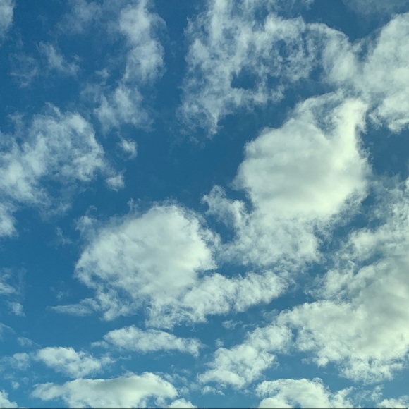 Meet your Posher, Adreona - Picture 1 of 1